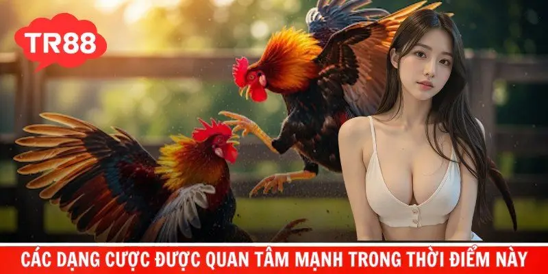 Các dạng cược được quan tâm mạnh trong thời điểm này