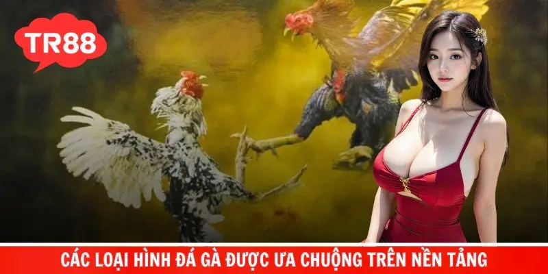 Các loại hình đá gà được ưa chuộng trên nền tảng